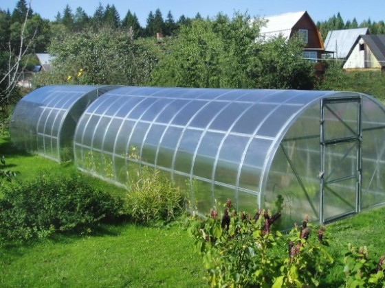 Теплица "Дачная 2 Дум"