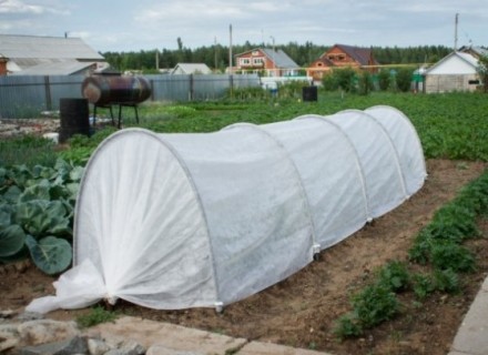 Парник "Подснежник" (4 метра)