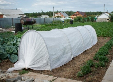 Парник "Подснежник" (3 метра)