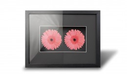 Музейное стекло 