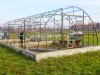 Фермерская теплица 5,6х12м-2