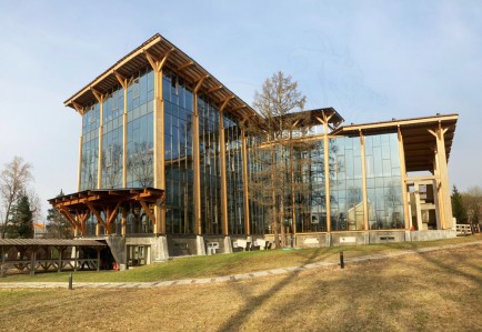 Готовые объекты - Навес над входной группой, здание GOOD WOOD PLAZA (ГудВуд Плаза)